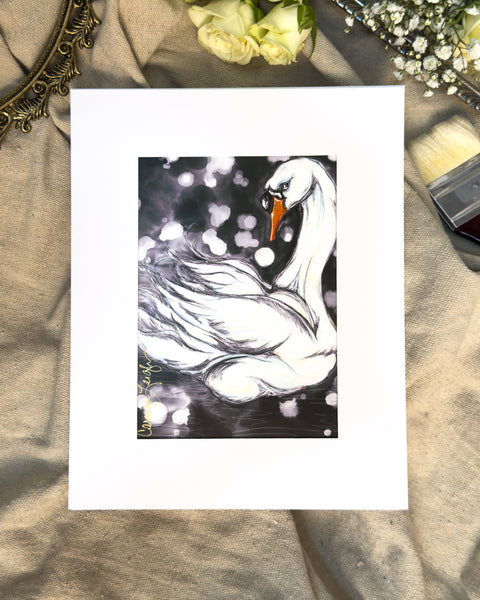 "Black Swan" Fine Art Print